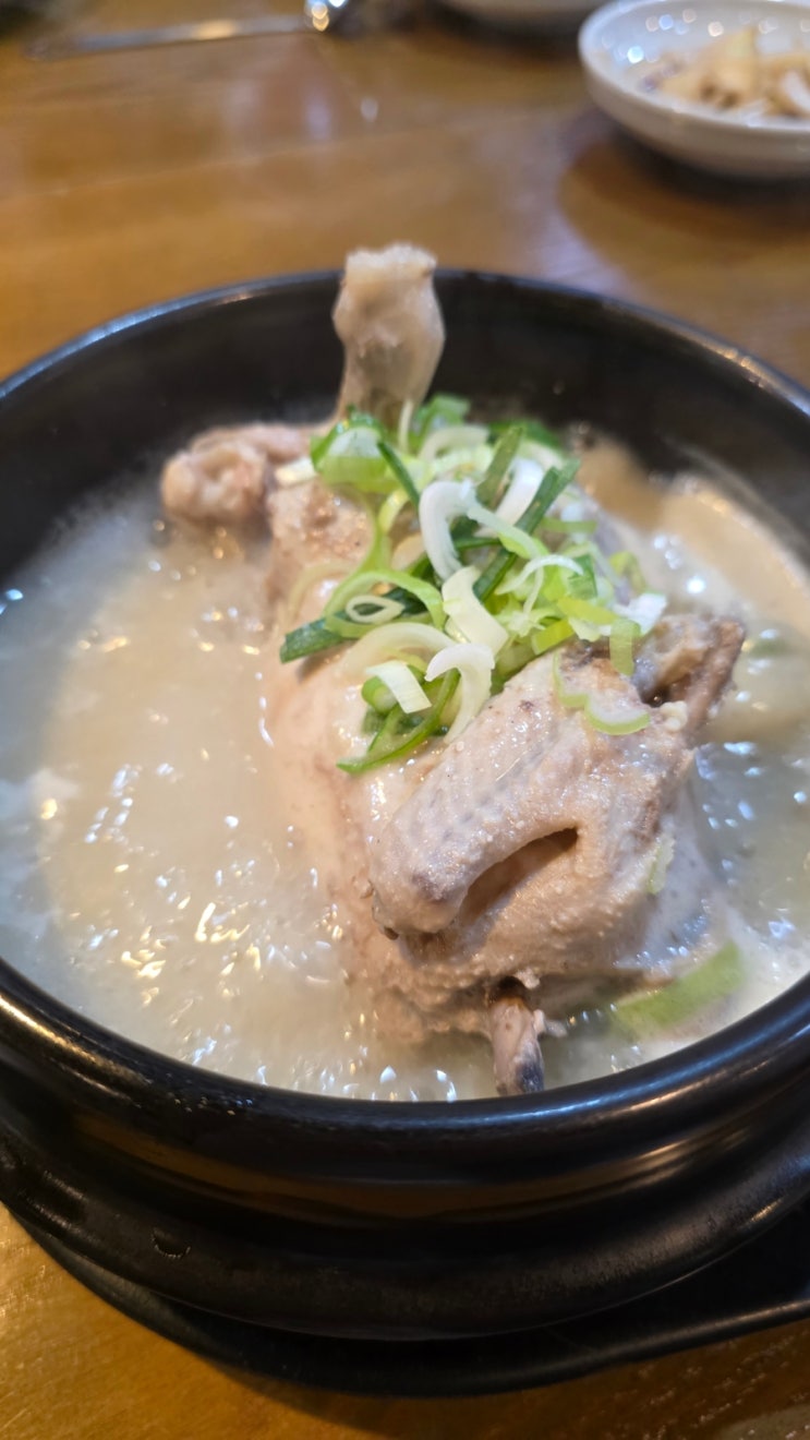  [진해]벚꽃시즌에 꼭 가야할 진해 삼계탕 맛집 '벚꽃삼계탕'