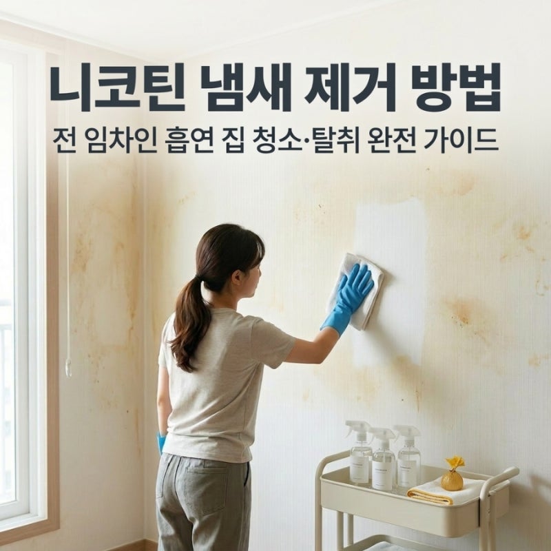 니코틴 냄새 제거 방법｜전 임차인 흡연 집 청소·탈취 완전 가이드