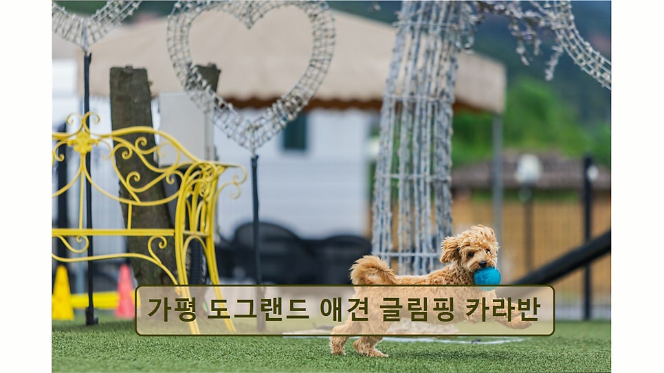 도그랜드글램핑 사진 3
