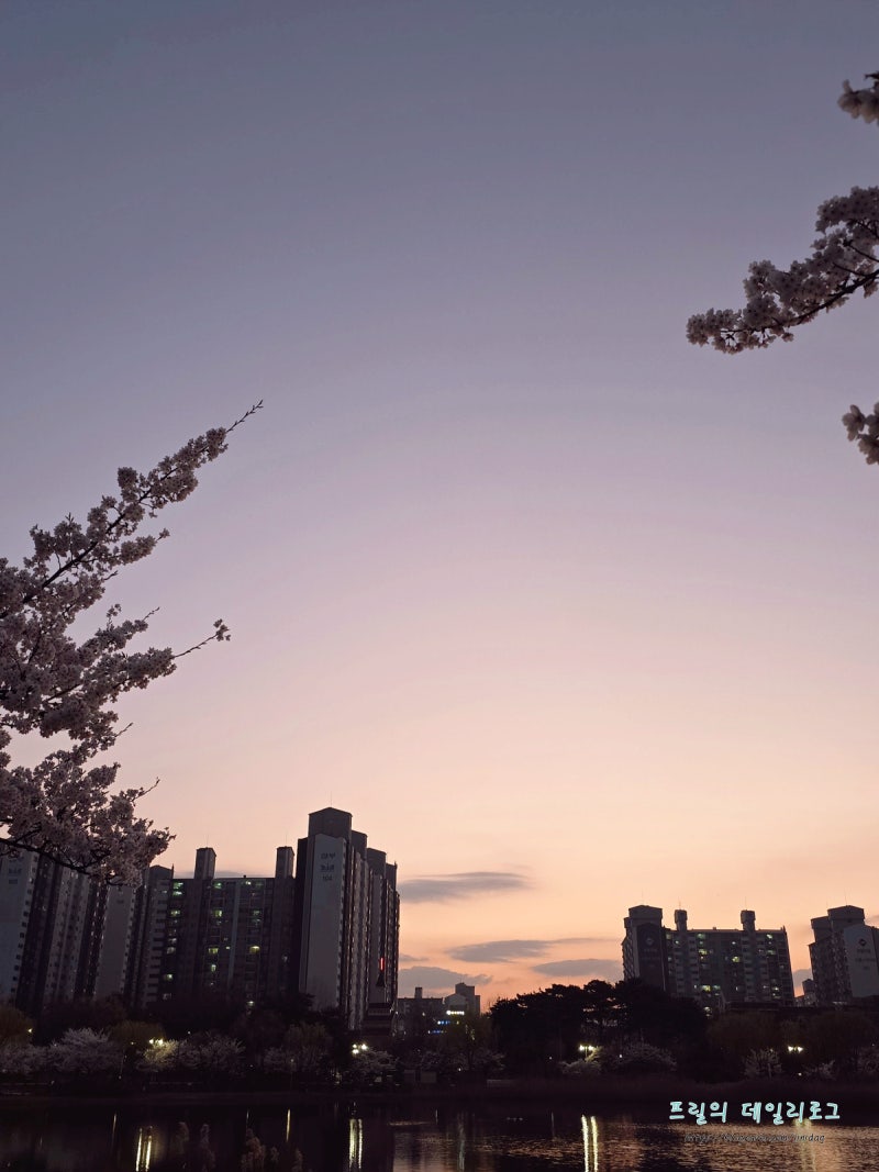 사진 3