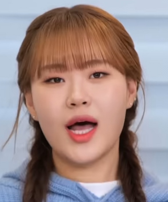 엄지윤 프로필 인스타 나이 키 학력 고향 결혼 최근 근황, 엄지렐라부터 서울시 홍보대사까....