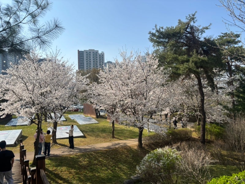 사진 9