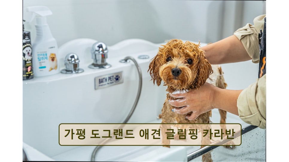 도그랜드글램핑 사진 5