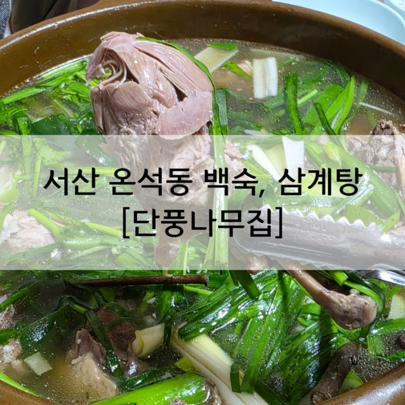 서산 제일 맛있는 닭요리, 백숙, 닭도리탕 [단풍나무집]