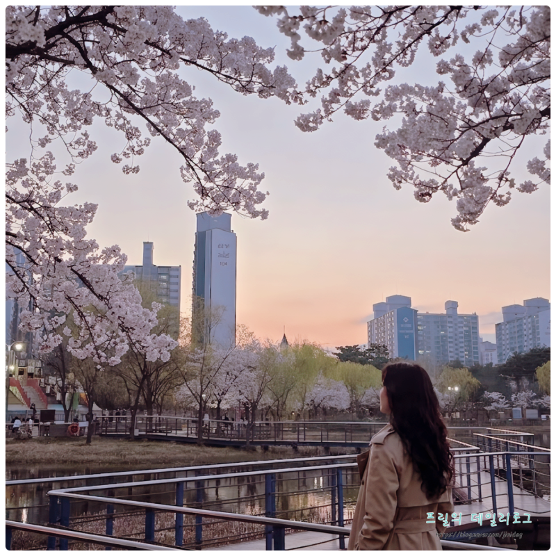 사진 2