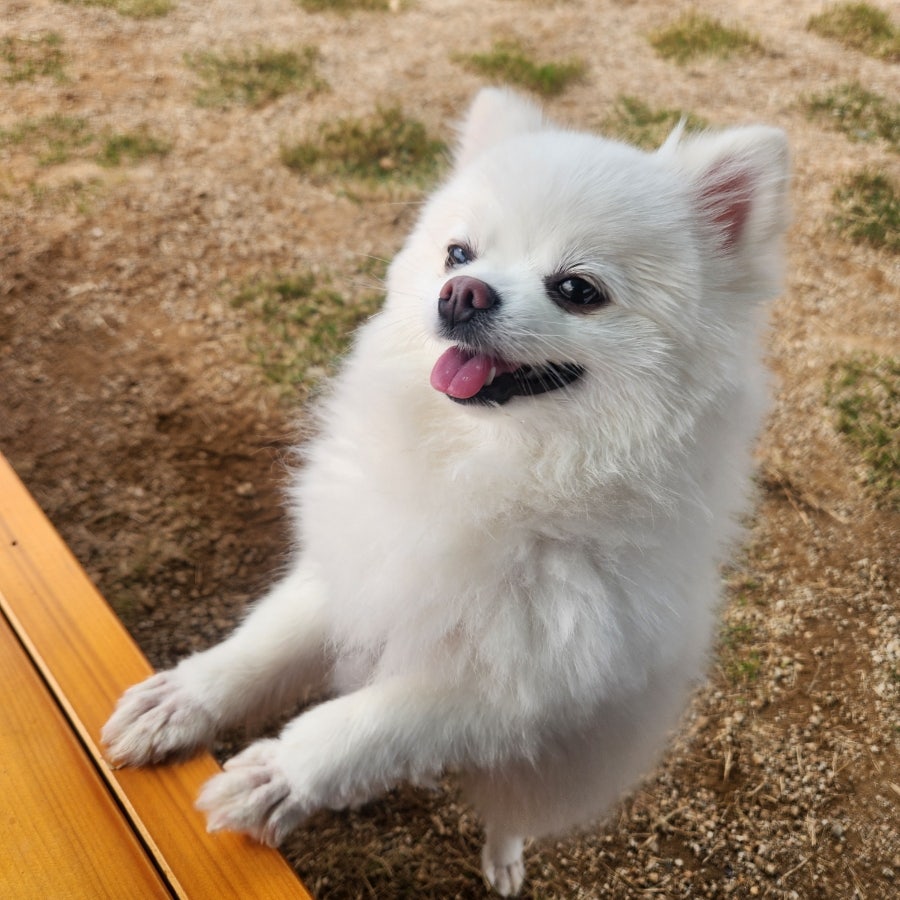 해운대시원한대구탕 사진 6