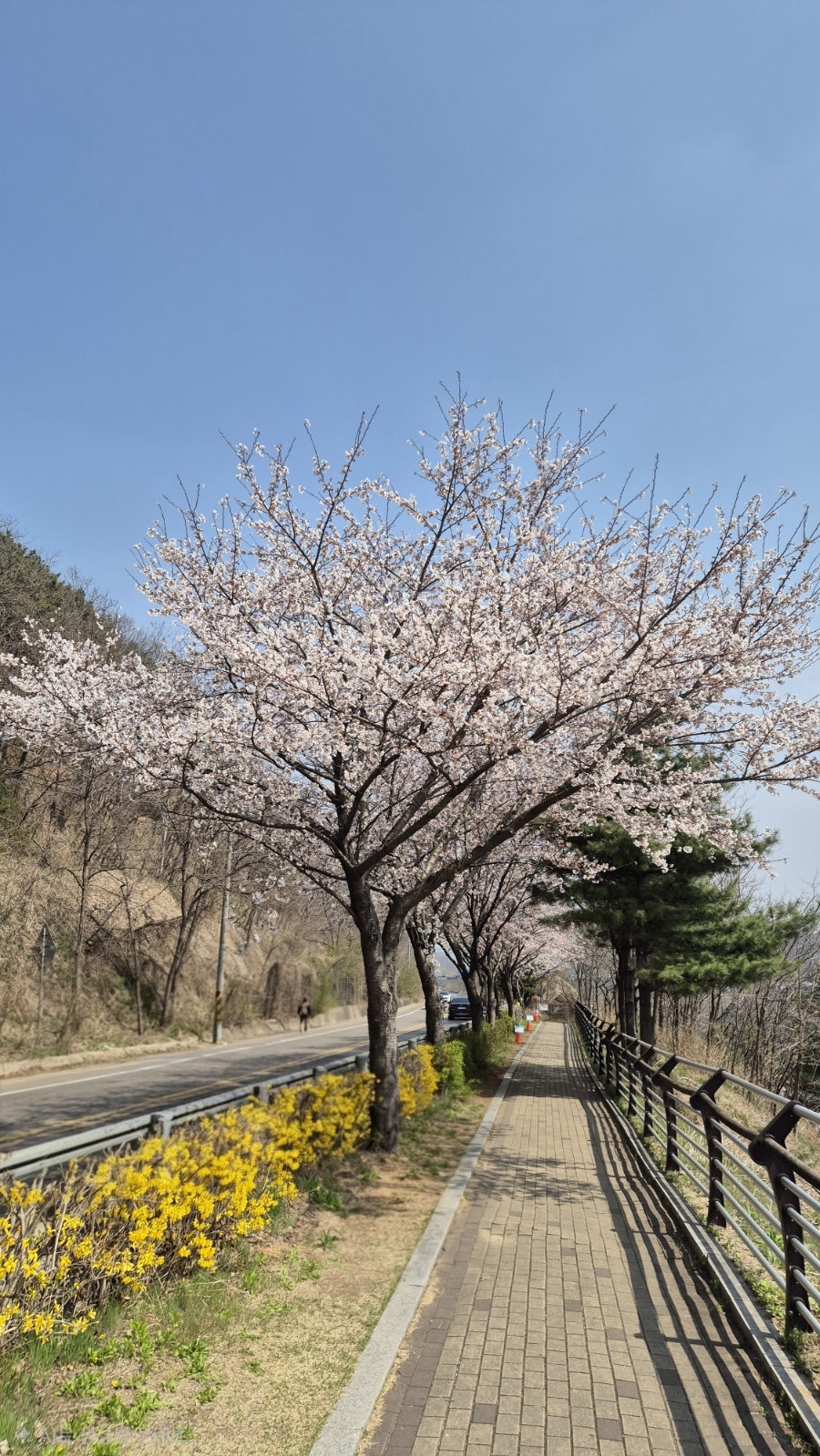 계양손짜장마을 사진 1