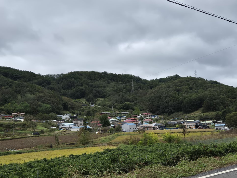 활골 사진 1