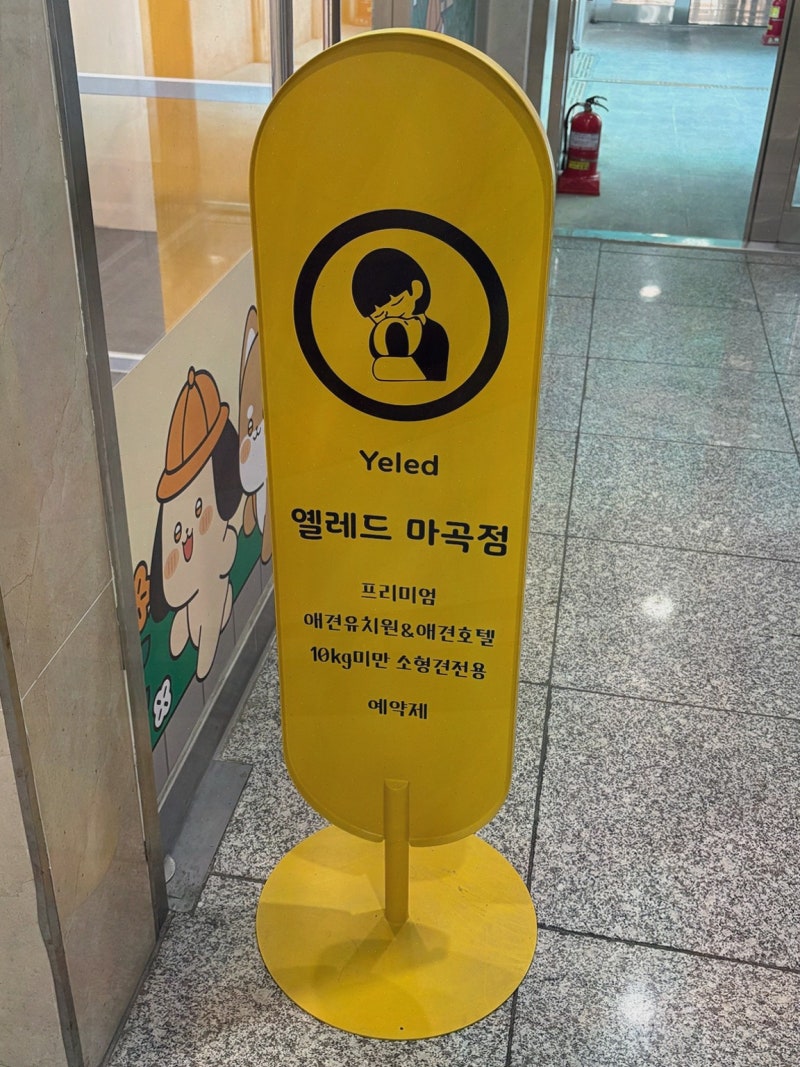 사진 2