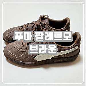 [신발 리뷰] 푸마 팔레르모 브라운 내돈내산 후기 (착화감 , 사이즈 추천)