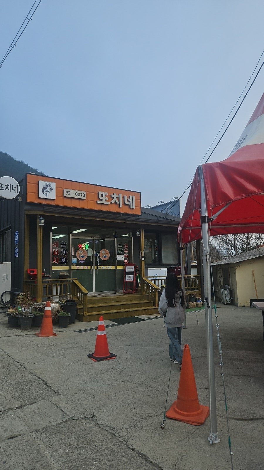 또치네 사진 4