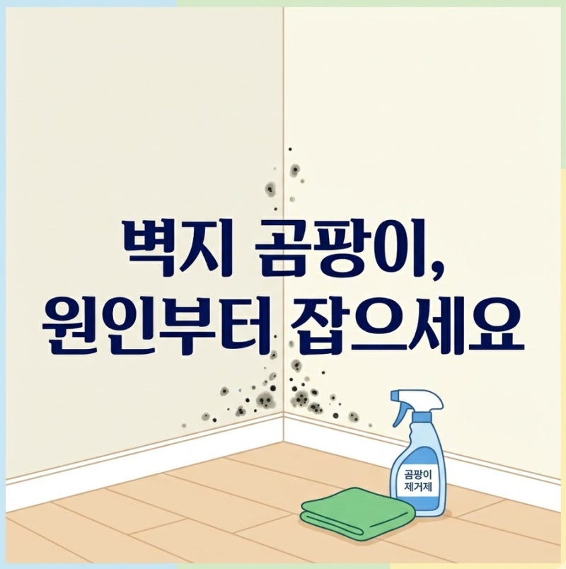 닦아도 또 올라오는 벽지 곰팡이, 원인부터 잡아야 끝납니다 (다이소 제품 활용까지)