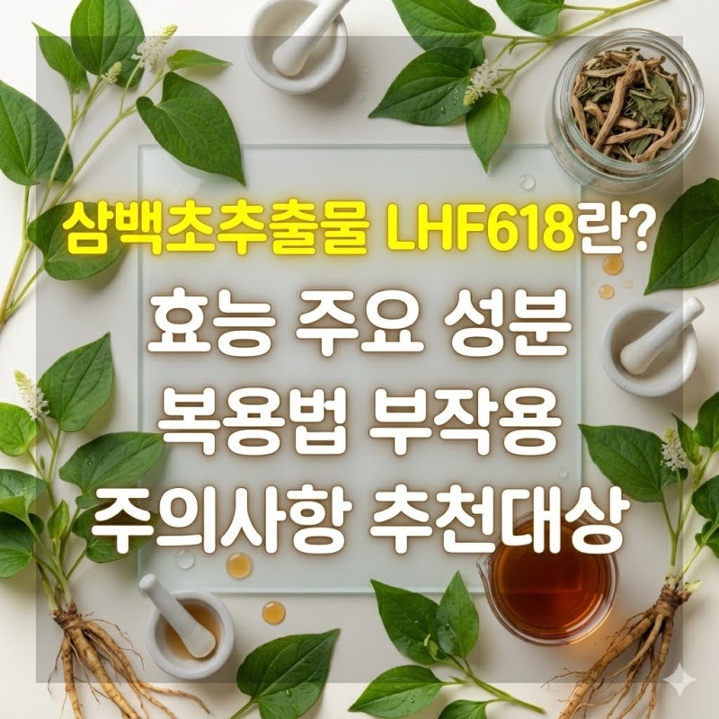 삼백초추출물 LHF618란? 효능 주요 성분 복용법 부작용 추천 대상