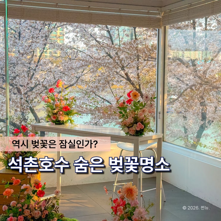  "다들 같은 자리만 갑니다" 잠실 석촌호수, 숨은 벚꽃 명소 따로 있습니다