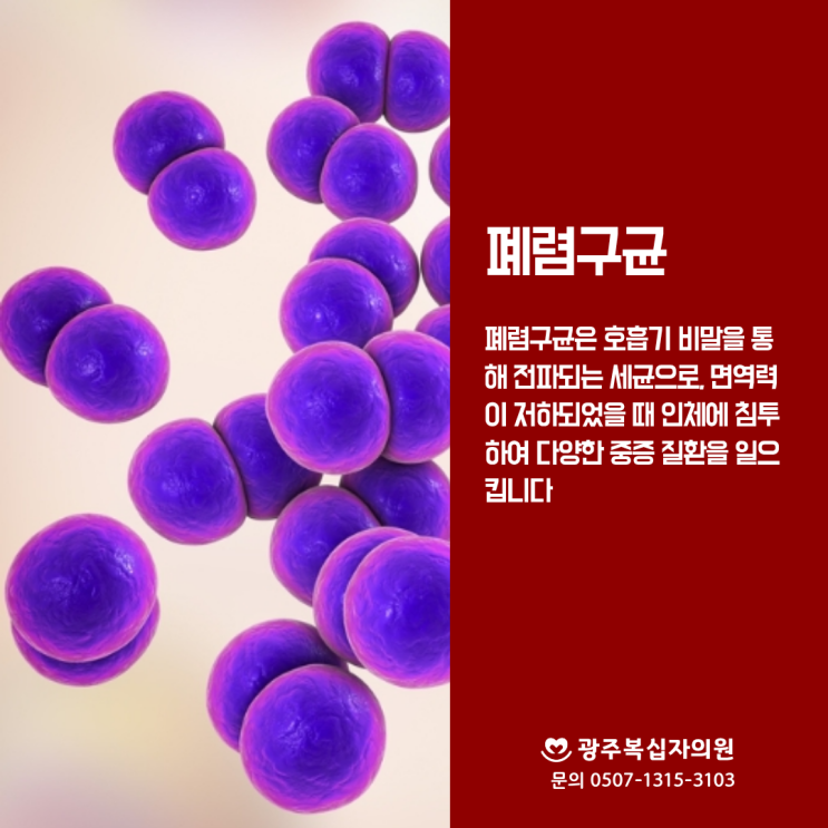  폐렴구균 예방접종 종류에 따른 권장대상