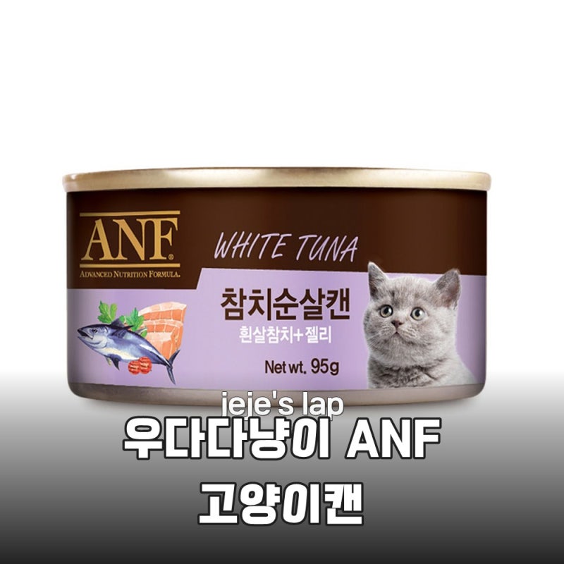 까다로운 입맛도 사로잡는 ANF 고양이캔 솔직 후기