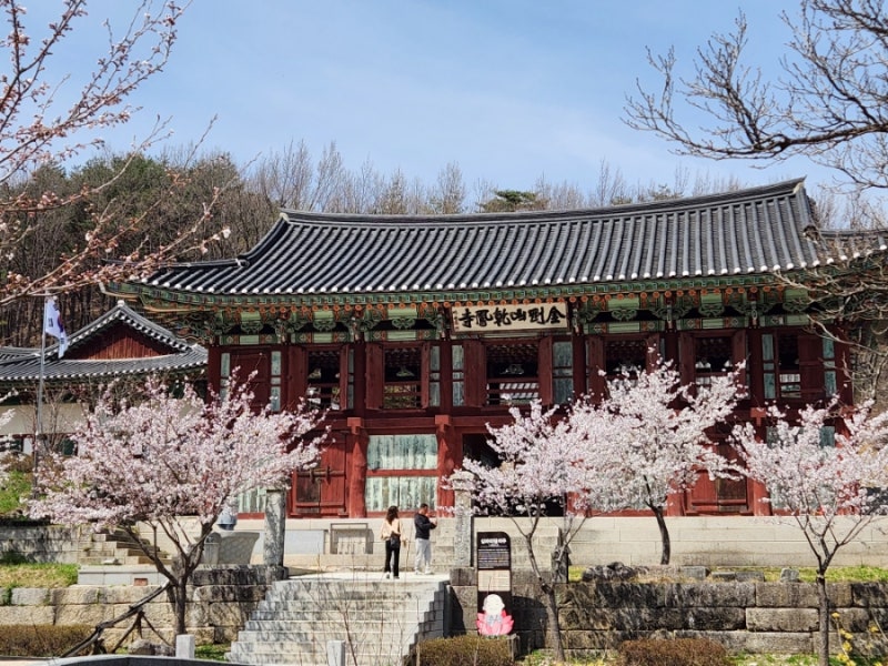 속초 고성 가볼만한곳 여행 건봉사 사찰 추천 후기