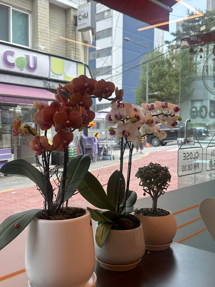 디디김밥 사진 6