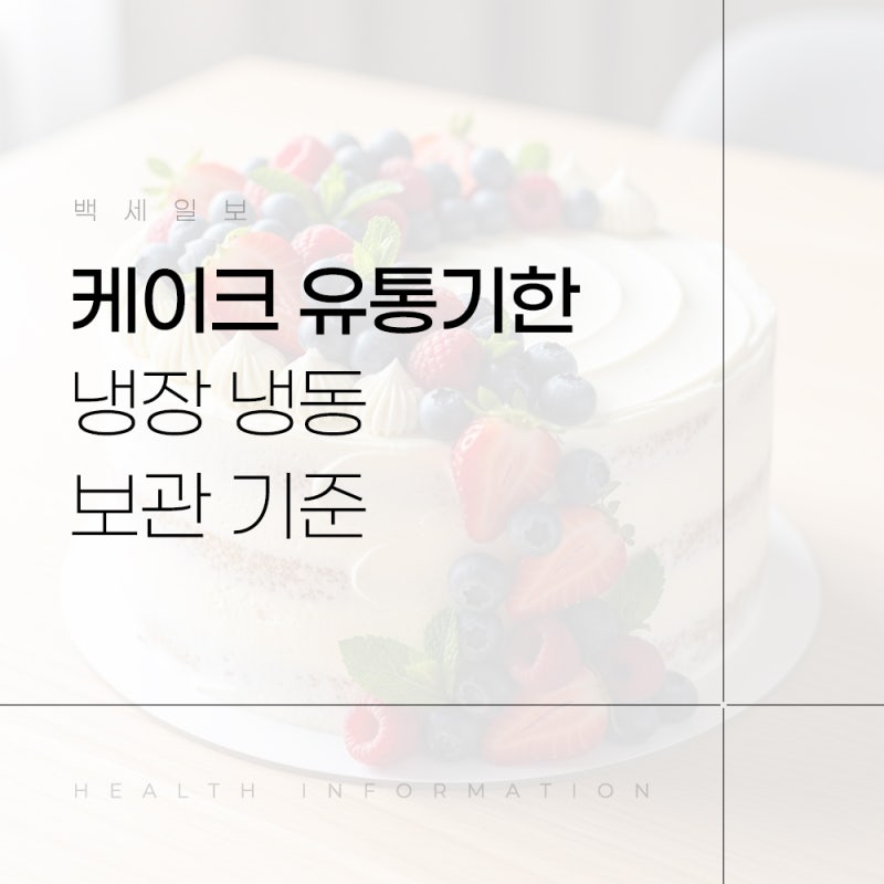 초코 치즈 생크림 케이크 유통기한 실온 냉장 냉동 보관 기준 총정리