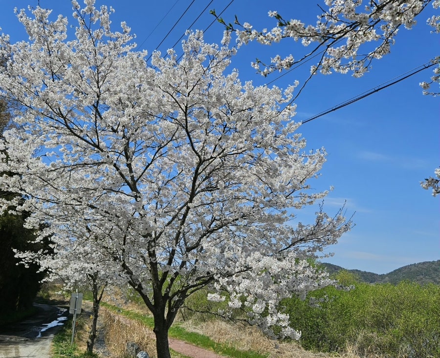황룡가든 사진 3