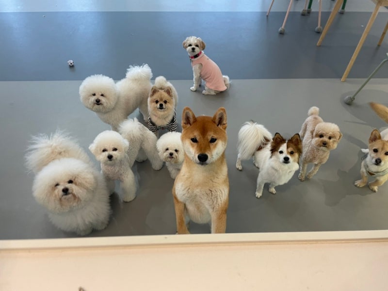 사진 5