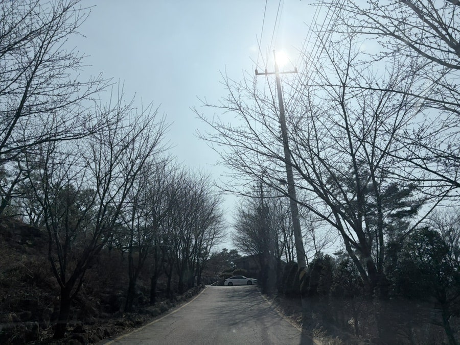 파인힐빌리지캠핑장 사진 3