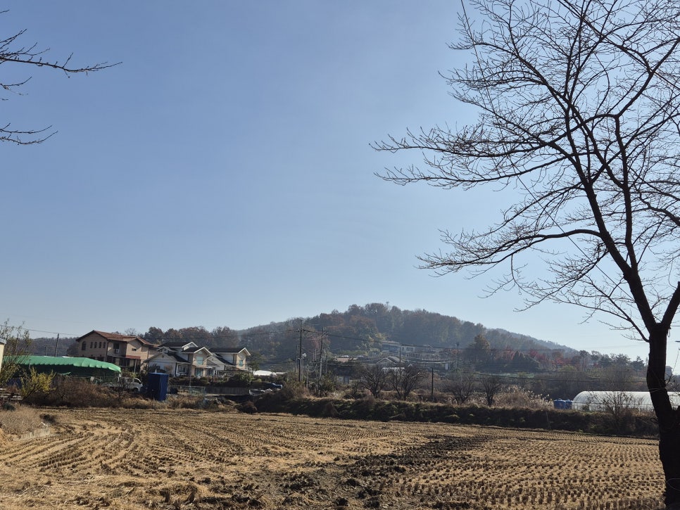 활골 사진 3