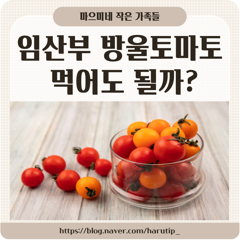 임산부 방울토마토 먹어도 될까? 임신 중 방울토마토의 효능과 주의사항 총정리