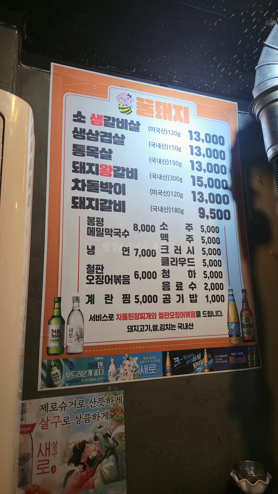 꿀돼지 사진 1