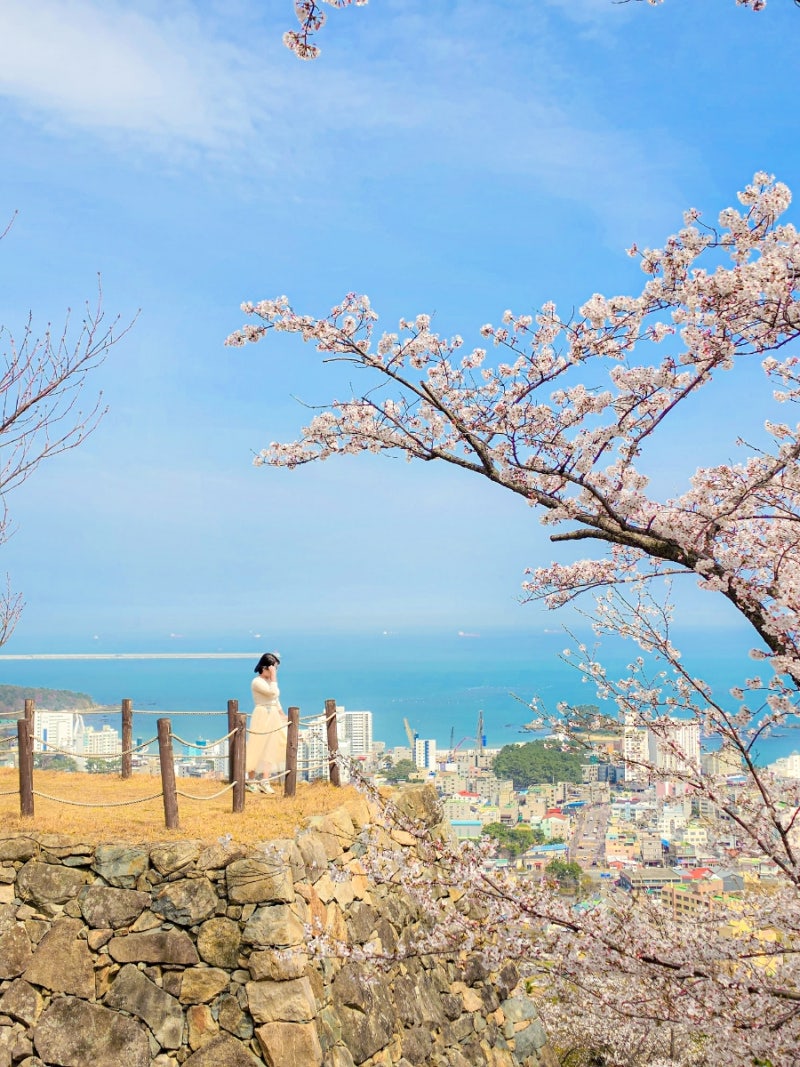 사진 8