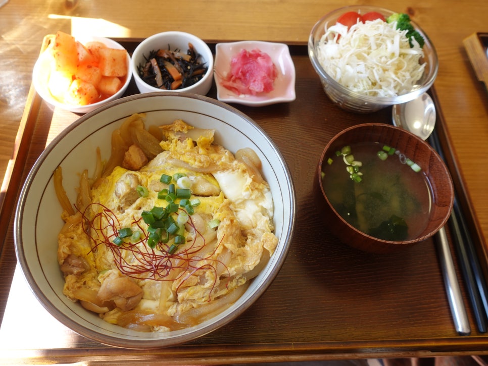 기바홍은 사진 3