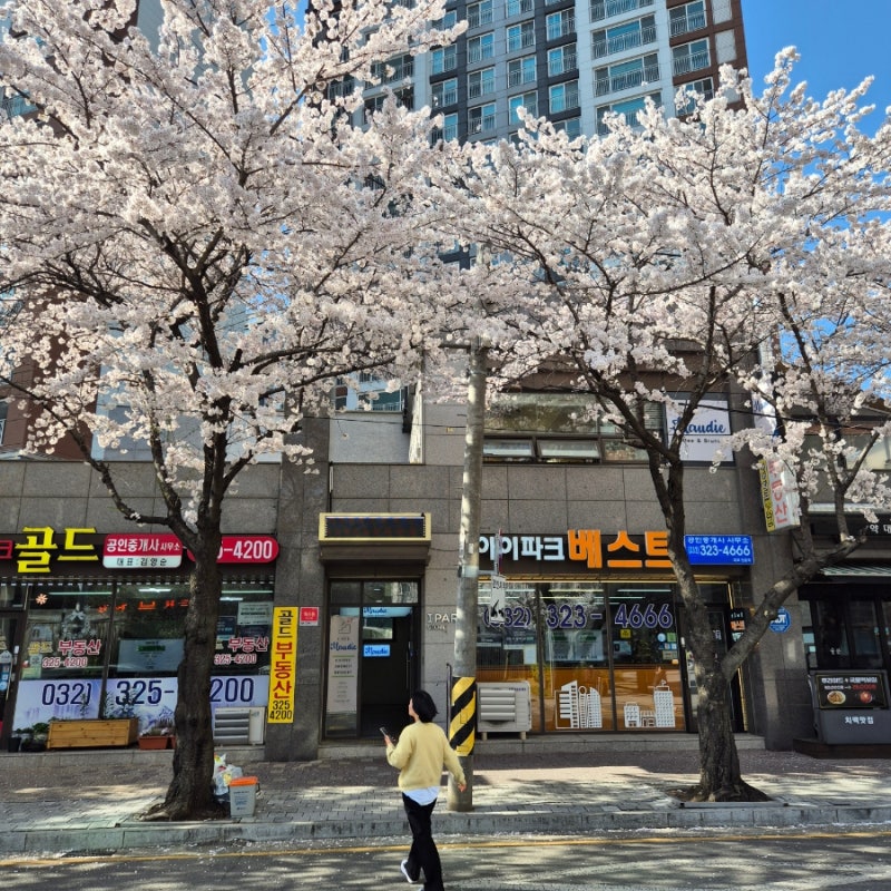 사진 3