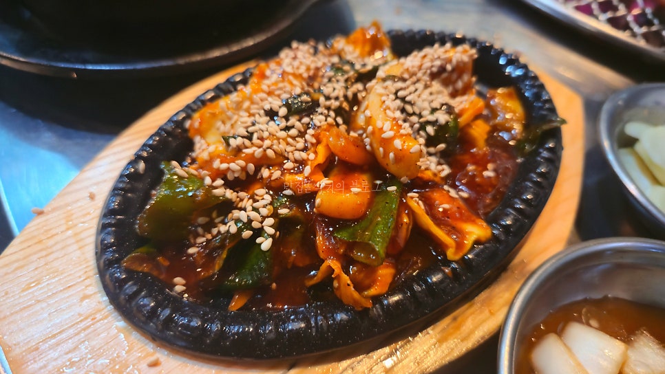 꿀돼지 사진 4