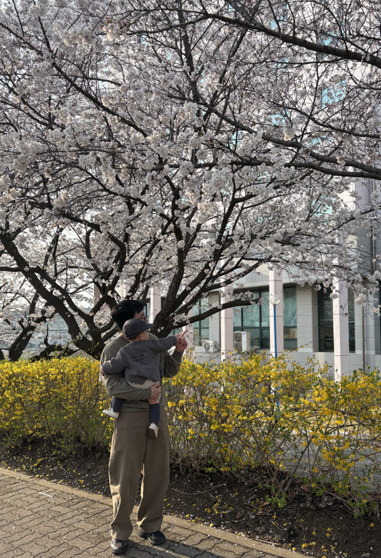  [일상] 신세계 사우스시티 / 해논미역 / 베네베네모자 / 블루래빗 / 타임옴므 / 벚꽃놀이