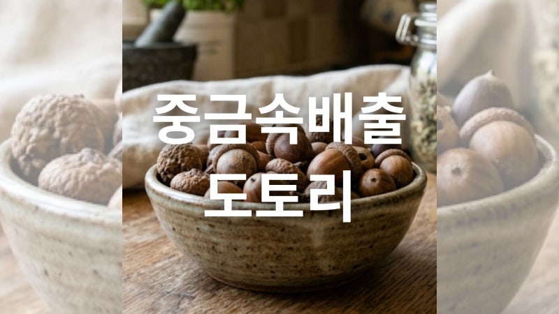 건강한 식재료 도토리 효능과 부작용 및 올바른 섭취 방법 가이드