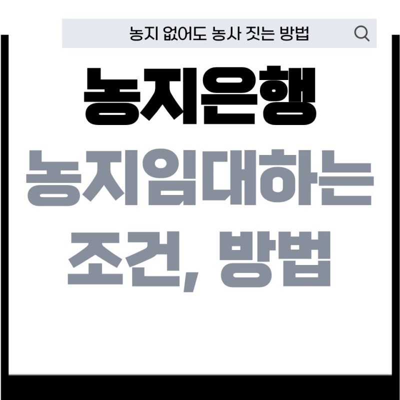 농지은행 임대 조건,자격 핵심정리 (+농지 임대 신청한 경험)