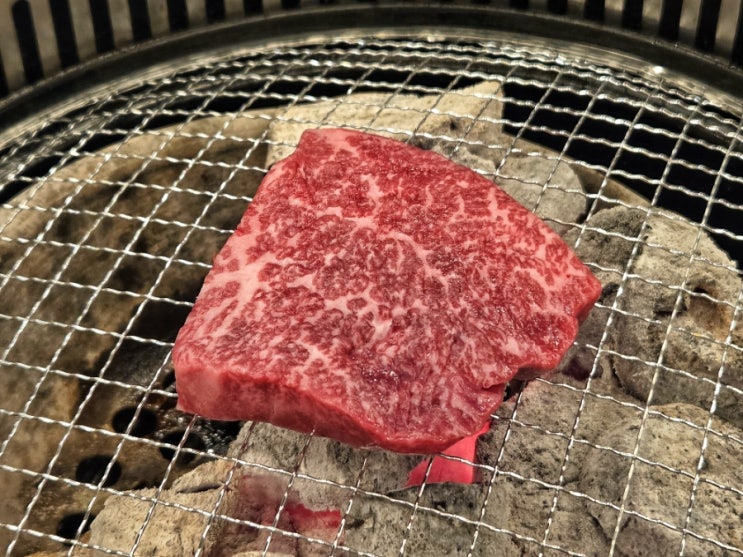 [구의역 맛집] 한우짝갈비살, 1++ 한우 갈비살을 직접 해체하여 극강의 가성비를 만드는 구의동 소고기 맛집 (구의역 고기집, 광진구청 맛집, 구의역 콜키지프리 소고기)