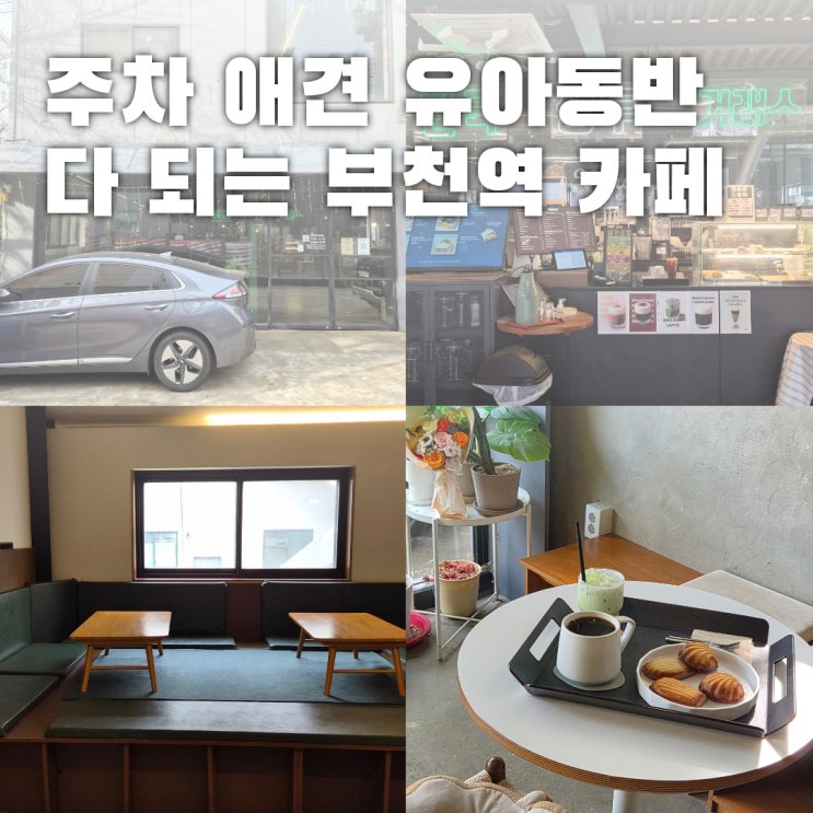  부천역 대형 카페 주차 아기랑 애견동반 다 되는 한국생두거래소