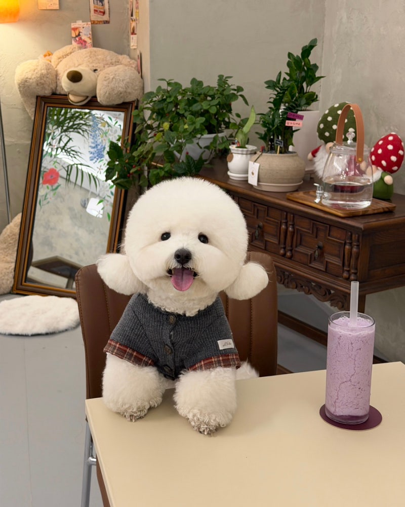 사진 3