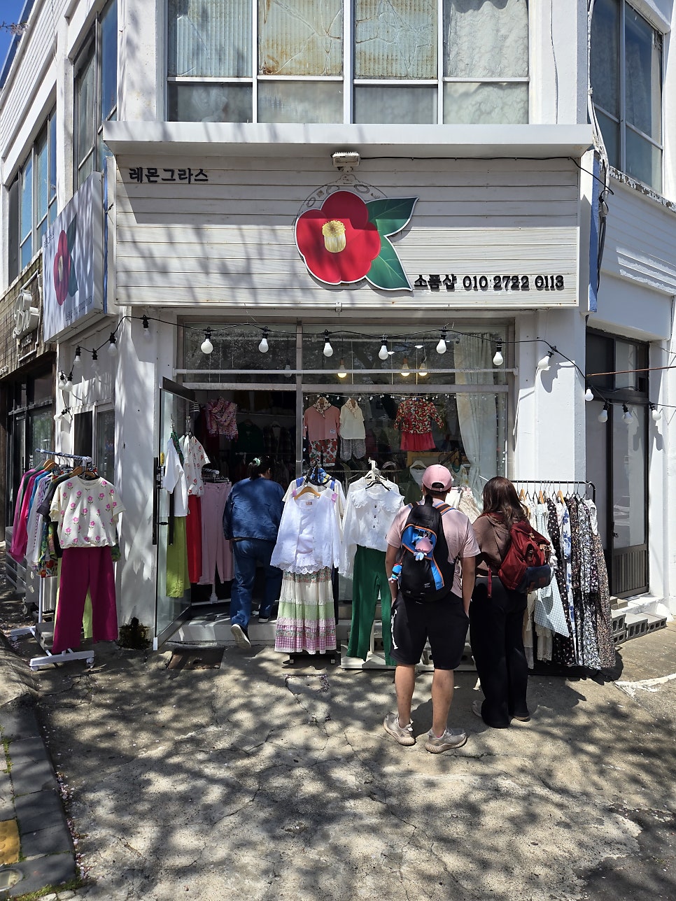 단델리온 사진 5