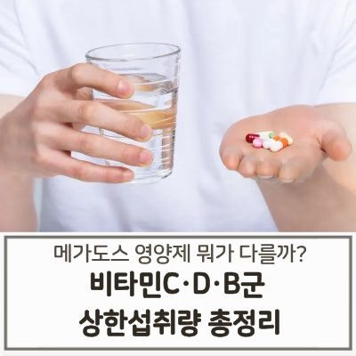 메가도스 영양제 뭐가 다를까? 비타민C·D·B군 상한섭취량 총정리