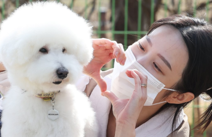   300만 원 수술비 날벼락?! 반려가구 재테크 필수템 '펫보험' 정복하기