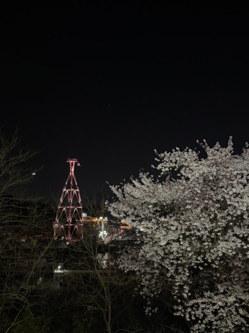 여수 돌산 더호텔수 가성비호텔 낭만포차근처숙소