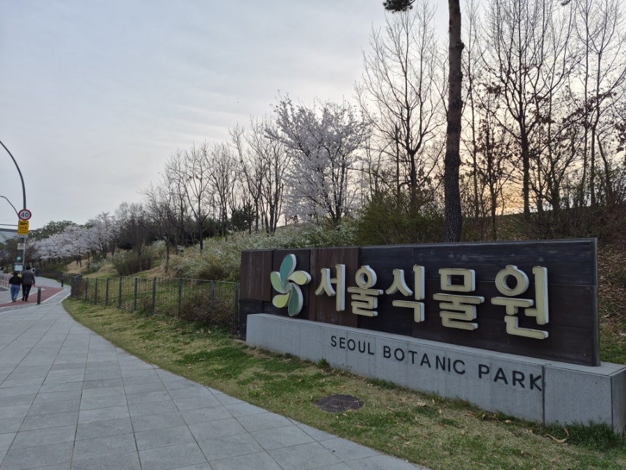목포낙지 사진 1