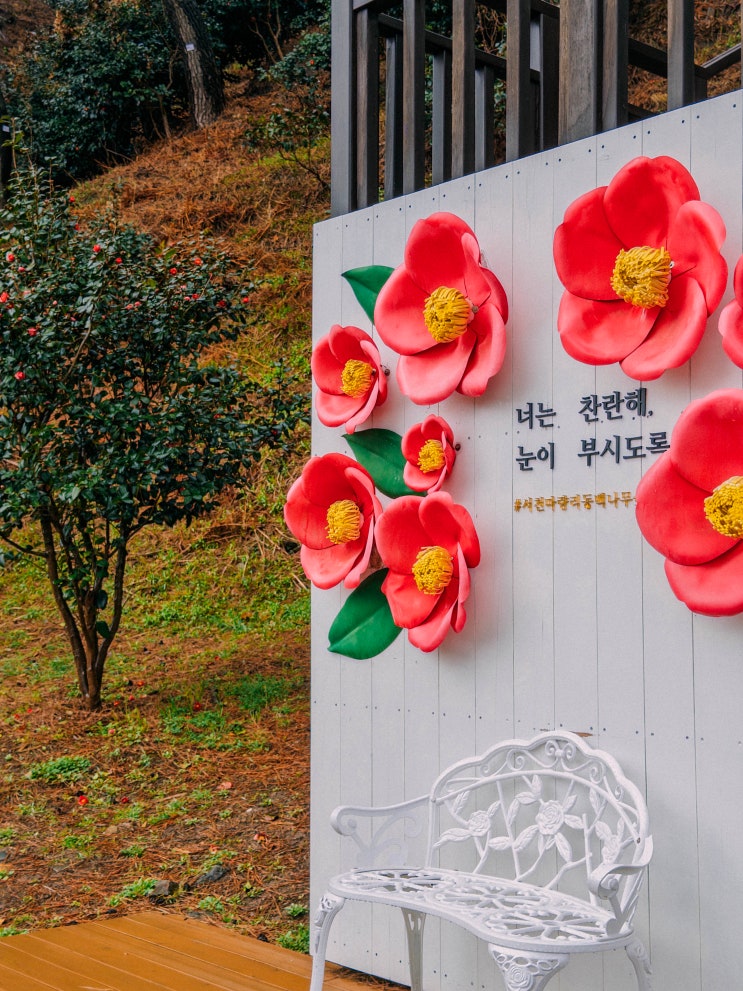  서천 여행 가볼만한곳, 마량리 동백나무숲(입장료, 오력도)