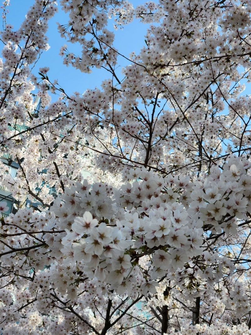 사진 5