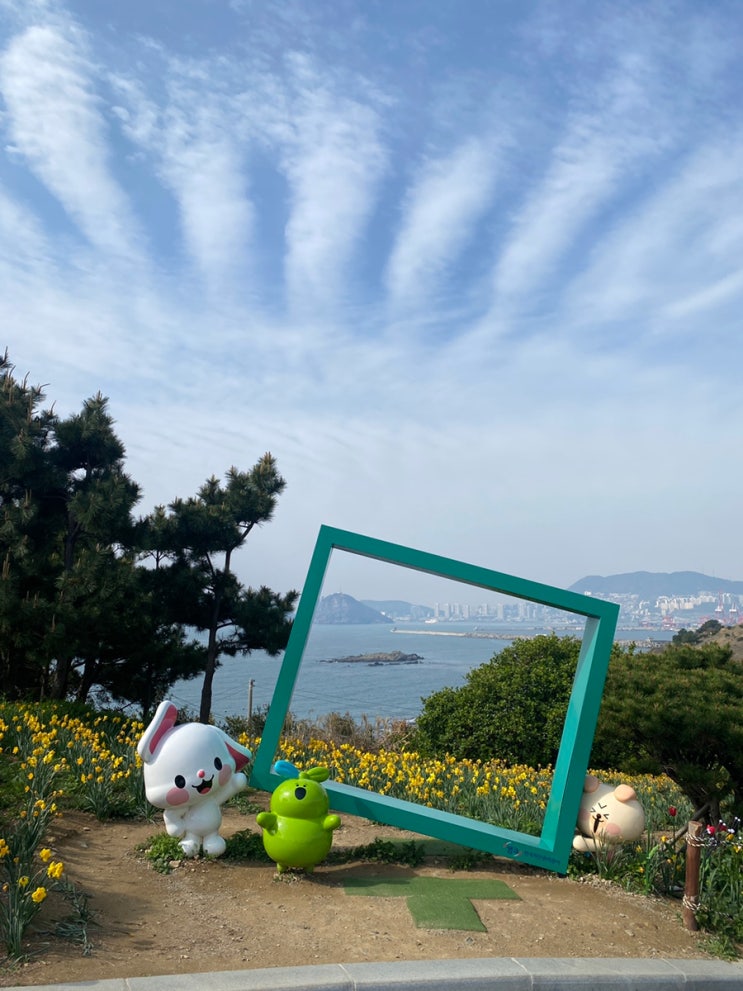  (부산 아이랑 가볼만한)이기대 오륙도 해맞이공원 수선화와 유채꽃 (feat. 5월의 작약)