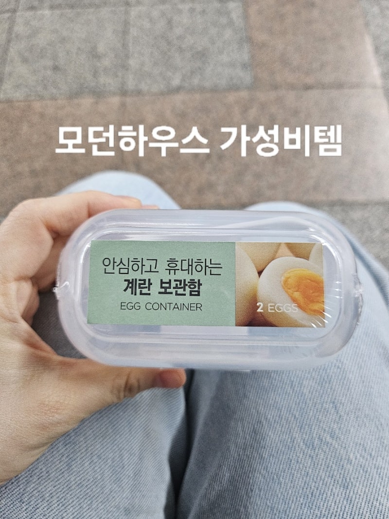 모던하우스 계란 보관함 후기 휴대용 2구 달걀 케이스 가성비 추천