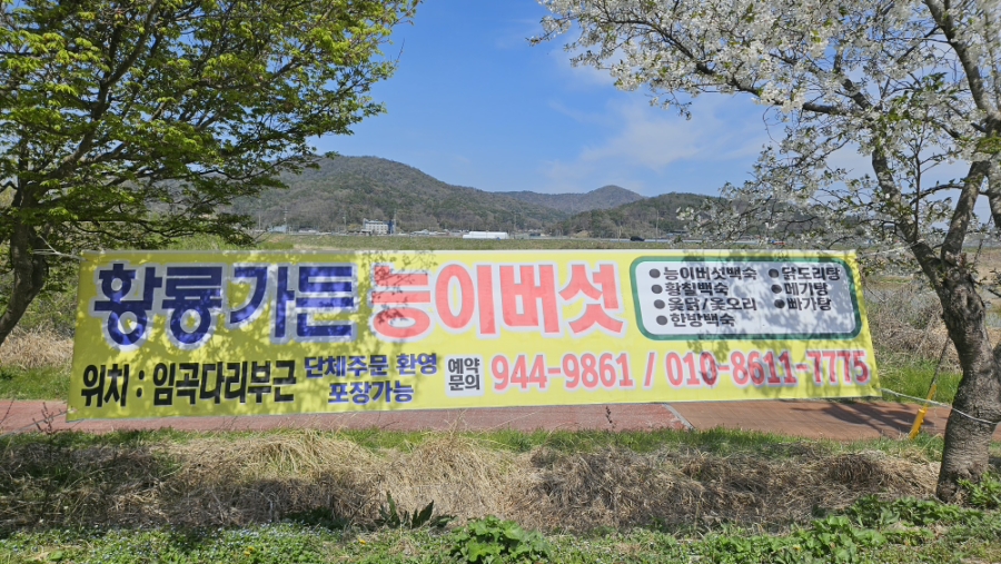 황룡가든 사진 1