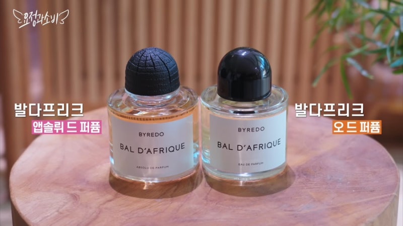 정재형 바이레도 향수 추천! 발다프리카부터 인생 룸스프레이까지 찐템 총정리 ️✨